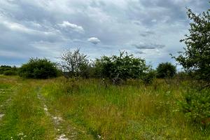 ділянка за адресою с. Микуличі, 