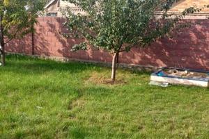 дом по адресу Астраханская