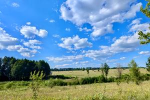 участок по адресу хрещата