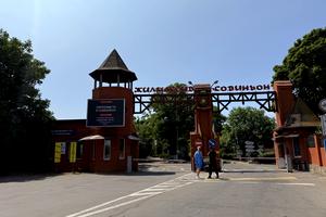 дом по адресу с. Лиманка, Бузкова