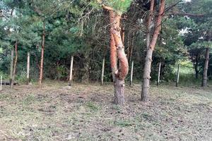 будинок за адресою Дорожня