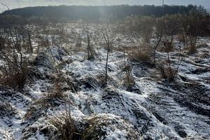 ділянка за адресою старе село
