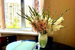 квартира за адресою Сумської Тероборони вул. (Ковпака), 54