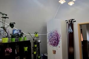 квартира по адресу Новоалександровская ул., 54а к4