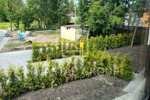 будинок за адресою княгині ольги