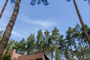 будинок за адресою міхайловскього