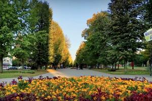 квартира за адресою Садовий проїзд, 24а