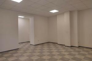 комерційна за адресою Дениса Рачінського вул. (Комбінатна), 25