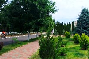ділянка за адресою Береговая