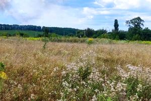 ділянка за адресою вул.Південна, 6