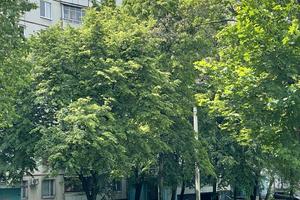 квартира за адресою Валентинівська вул. (Блюхера), 22