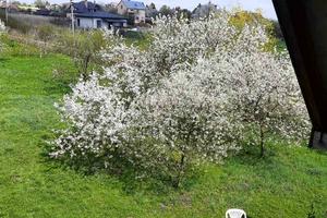 будинок за адресою Романа Сушка вул., 5