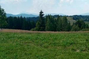 ділянка за адресою Середня