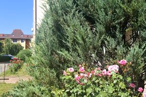 квартира по адресу Новоалександровская ул., 54а к4