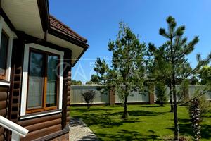 будинок за адресою Бориспільський