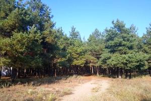участок по адресу Новостроительная ул., 1