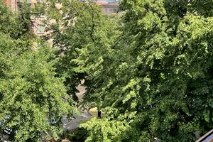 квартира за адресою Якова Новицького вул., 7