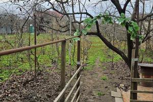 дом по адресу с. Фонтанка, Патриотическая ул., 68