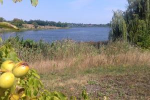 будинок за адресою Вільне