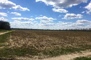 ділянка за адресою Лесі Українки