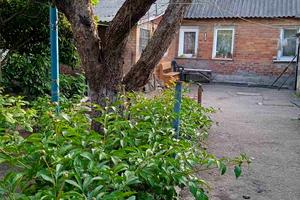 дом по адресу Мироновская ул. (Червоноселищная), 21