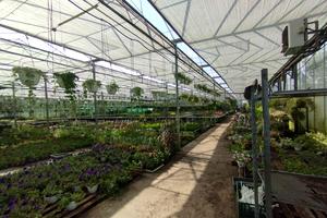 комерційна за адресою Патруса-Карпатського вул., 28