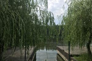 дом по адресу лесная