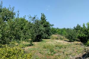 дом по адресу Перемоги, 20