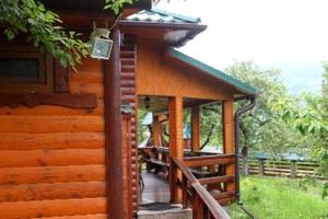 будинок за адресою Яремче, Камянка, 48
