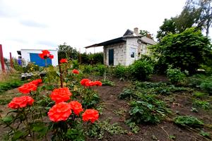 будинок за адресою Центральна, 3