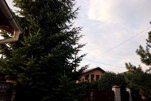 будинок за адресою с-ще. Дослідне, Провулок Дослідний