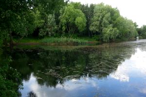 будинок за адресою с. Крушинка, Київська