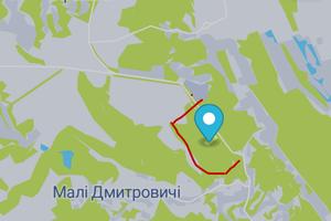 участок по адресу с. Великие Дмитровичи, 