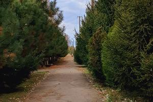 комерційна за адресою Чапаева, 47