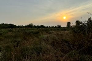 ділянка за адресою Вишнева