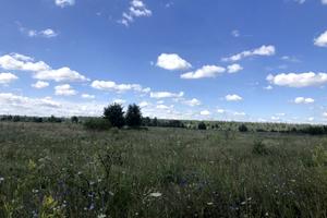 ділянка за адресою с. Березівка, 