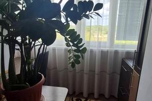 квартира за адресою Романа Шухевича вул. (Гастелло), 22