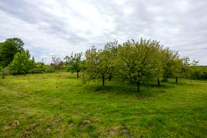 будинок за адресою Романа Сушка вул., 5