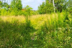 участок по адресу Панютинский пер., 5