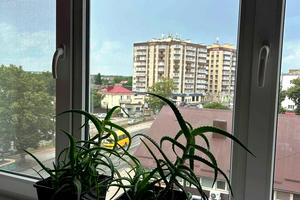 квартира за адресою Львівська вул., 63