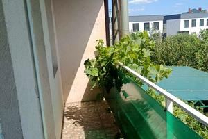 будинок за адресою Центральна вул.