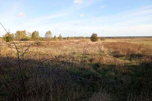 участок по адресу Шевченка