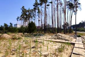 ділянка за адресою незалежності