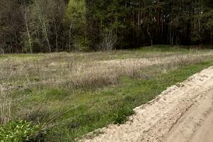 будинок за адресою Лісна