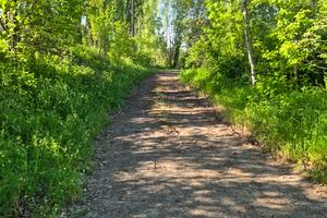 ділянка за адресою Іршава, Центральна