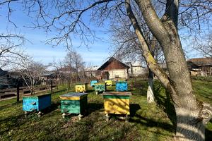 будинок за адресою Шевченка, 45
