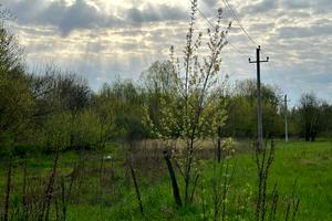 участок по адресу Остромирська