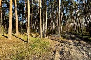 участок по адресу Старообухівська ул.