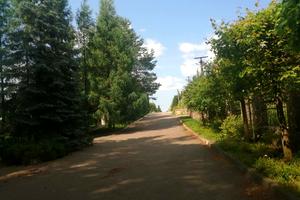ділянка за адресою Лісова