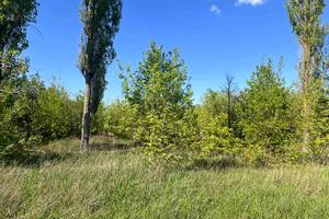 участок по адресу Тарасівська, 33